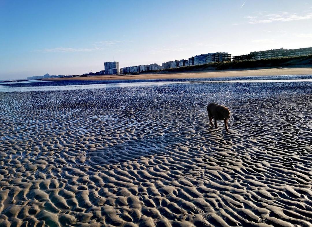 Ferienwohnung Hhvdk Aan Zee Oostduinkerke Exterior foto